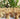 Ontdek Leaflife: Jouw Webshop voor Duurzame Lifestyleproducten
