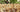 Ontdek Leaflife: Jouw Webshop voor Duurzame Lifestyleproducten